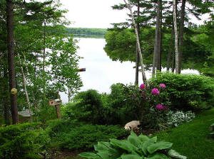 Gardens overlooking Mink Lake