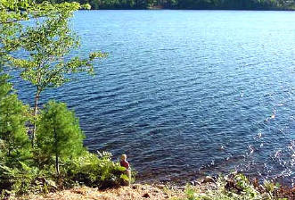 Overlooking Mink Lake