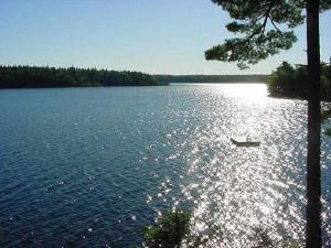Mink Lake, Carleton, Nova Scotia